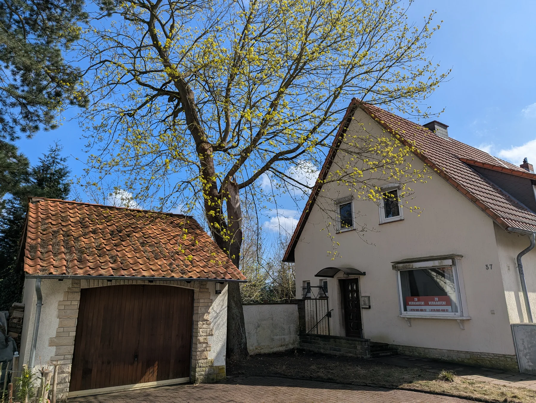 Doppelhaushälfte mit 1.041 m² Grundstück in Salzgitter-Bad ergänzendes Bild 1