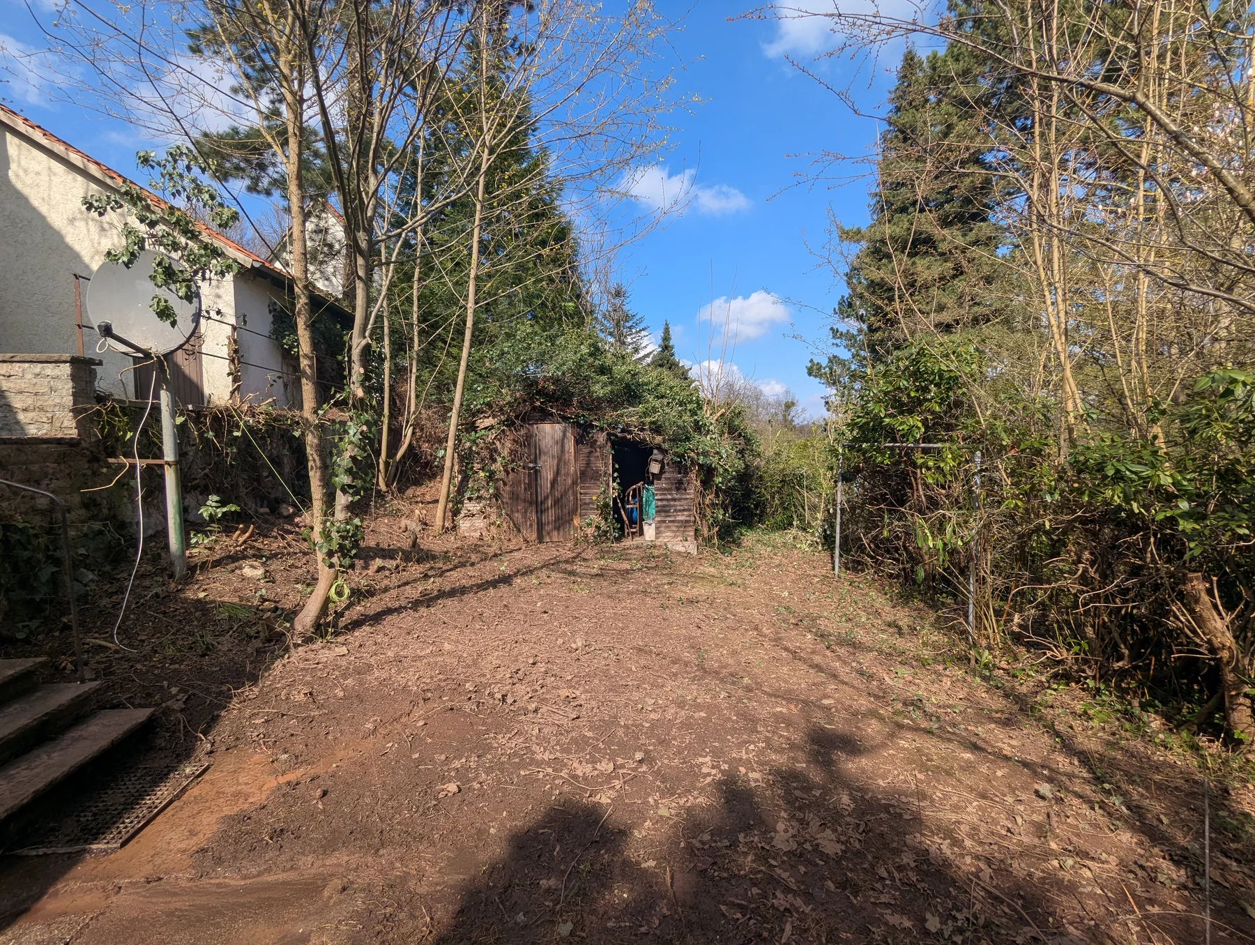 Doppelhaushälfte mit 1.041 m² Grundstück in Salzgitter-Bad ergänzendes Bild 4
